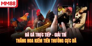Đá Gà Trực Tiếp – Giải Trí Thăng Hoa Kiếm Tiền Thưởng Cực Đã